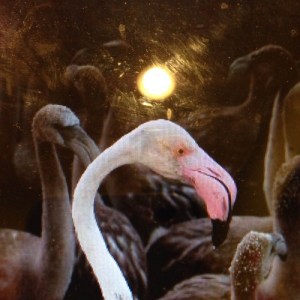 Restroom Sex: The Talkin' Headline Blues #138