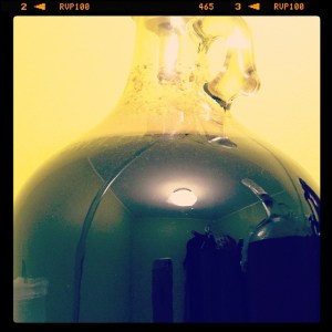 Homebrew Review: Chocolate Maple Porter