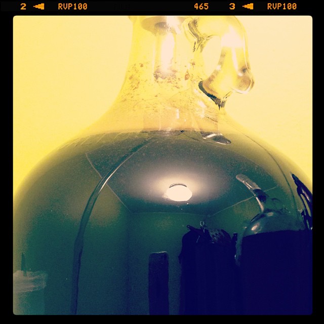 Chocolate Maple Porter homebrew.