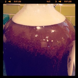 Homebrew Review: Prohibition Ale