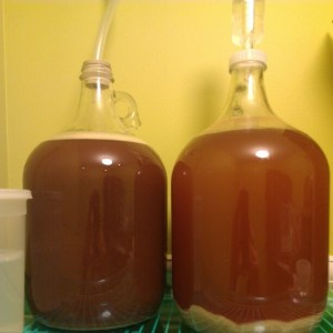 Homebrew Review: Rose-Cheeked & Blonde