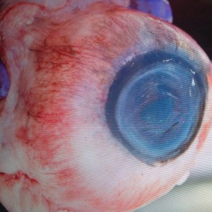 Power Tumbles: The Talkin' Headline Blues #163