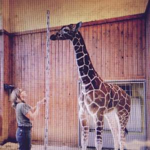 Scalia's Big One: The Talkin' Headline Blues #159