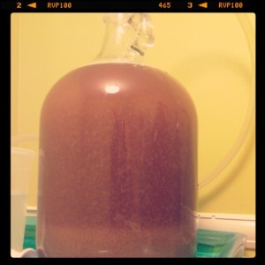 Homebrew Review: Grapefruit Honey Ale