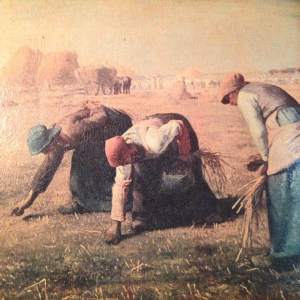 You Gonna Reap What You Sow