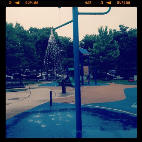 45 degrees and rainy and the sprinklers are on at Haas Park. SORRY CALIFORNIA #drought