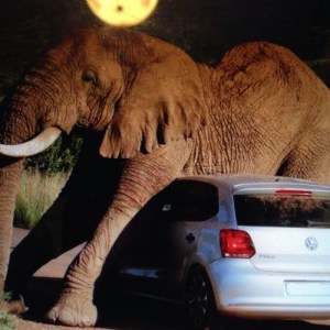 Deadly Philly: The Talkin' Headline Blues #140