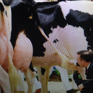 Leak Decollation: The Talkin' Headline Blues #185