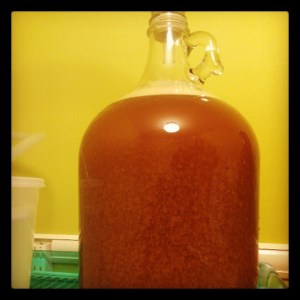 Homebrew Review: Simcoe IPA