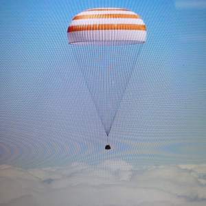 A Dog's Brexit: The Talkin' Headline Blues #175