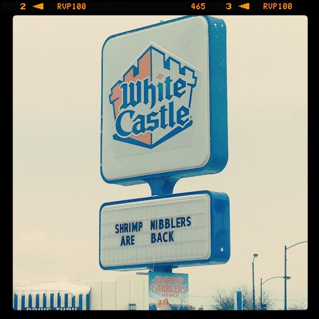 FINALLY. Nibblers are back.